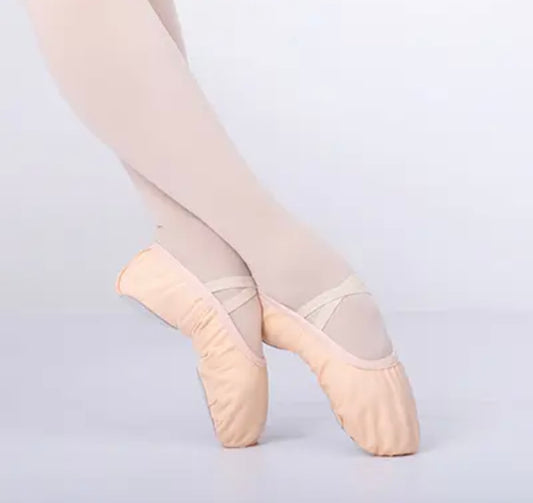 Ballet Shoes Canvas